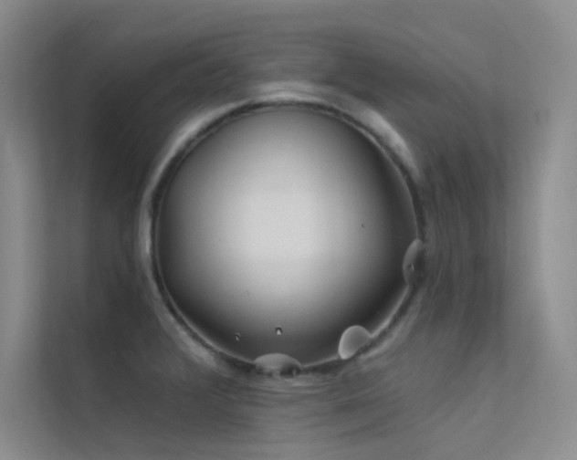 X0000112421376200908141402