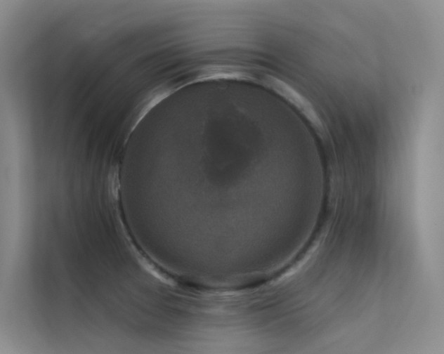 X0000112421377200908141402