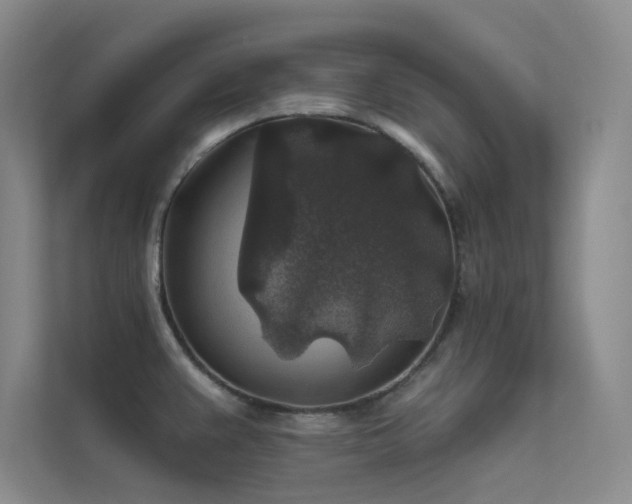 X0000112421383200908141402