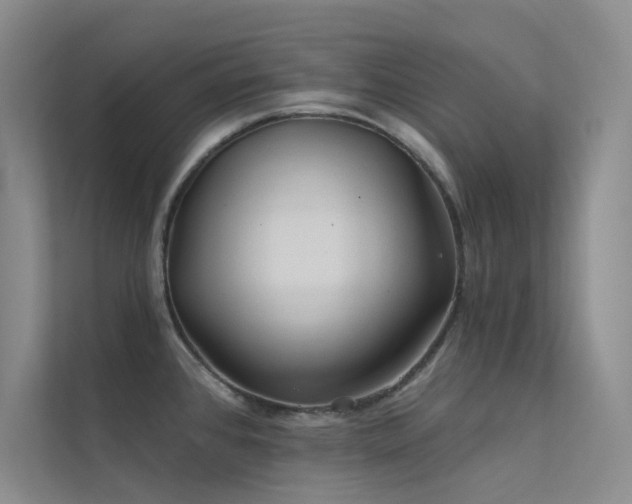X0000112421384200908141402