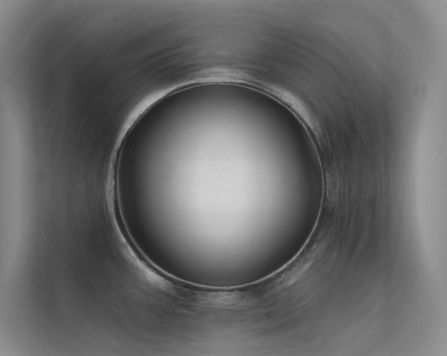 X0000112421387200908141402