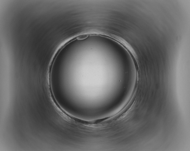 X0000112421388200908141402