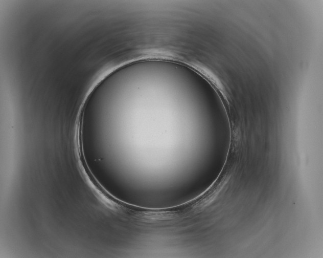 X0000112421391200908141402