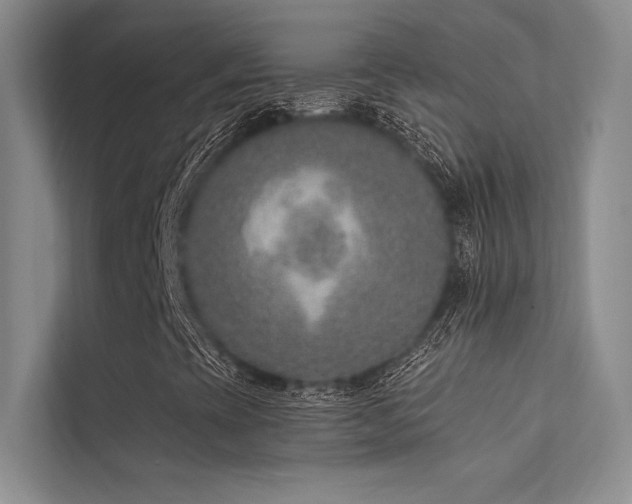 X0000112421393200908141401