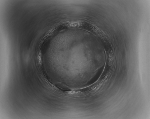 X0000112421394200908141401