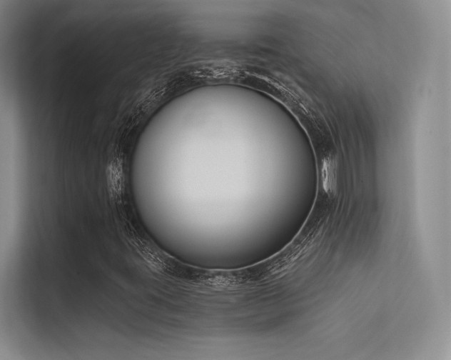 X0000112421395200908141401
