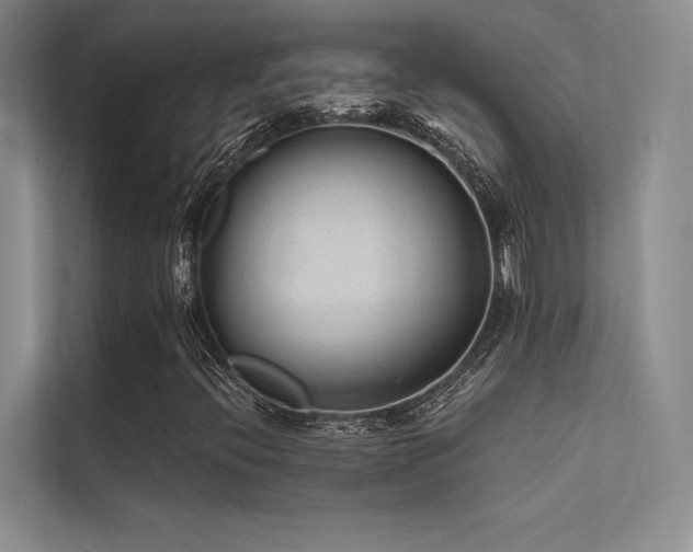 X0000112421396200908141401