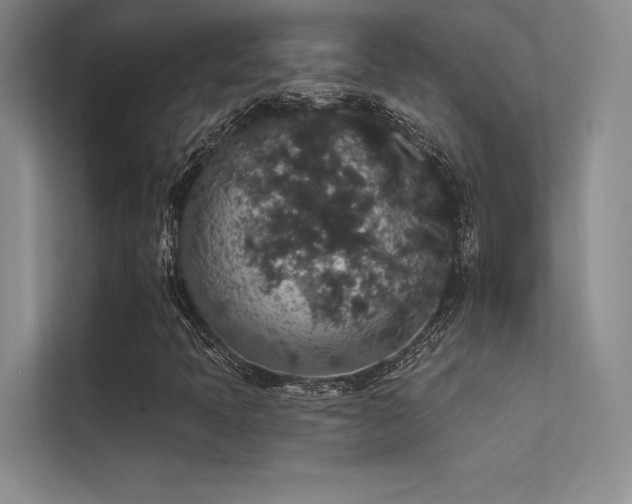 X0000112421397200908141401