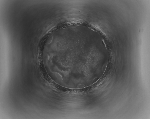 X0000112421399200908141401