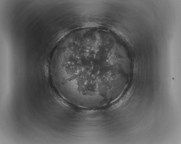 X0000112421401200908141401
