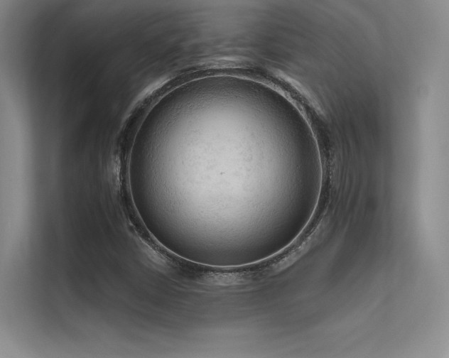 X0000112421402200908141401