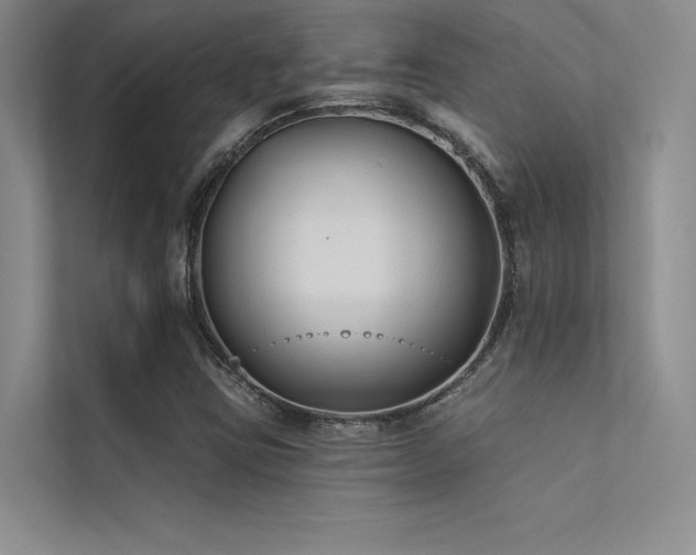 X0000112421403200908141401