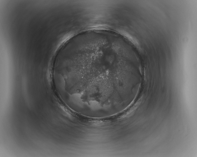 X0000112421405200908141401