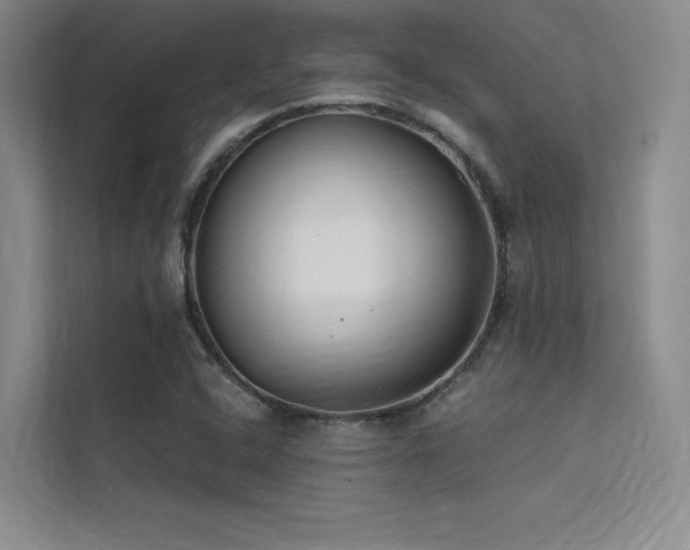 X0000112421408200908141401