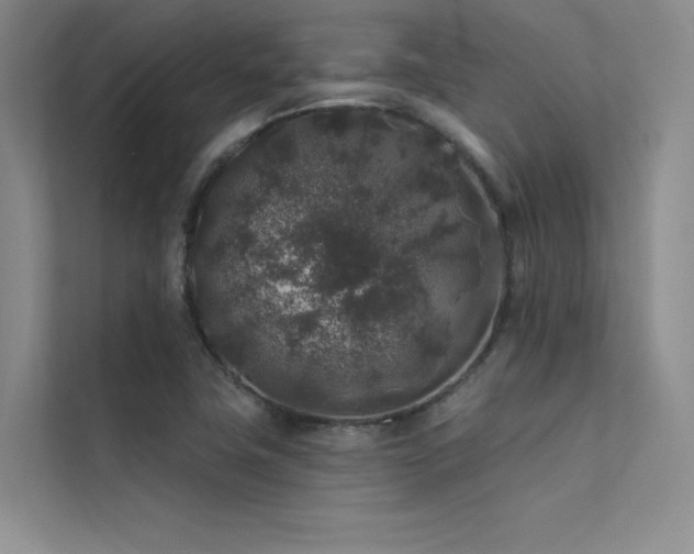 X0000112421411200908141401