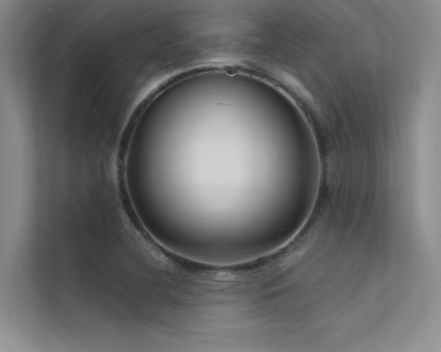 X0000112421412200908141401