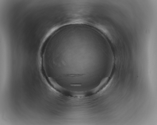 X0000112421414200908141401