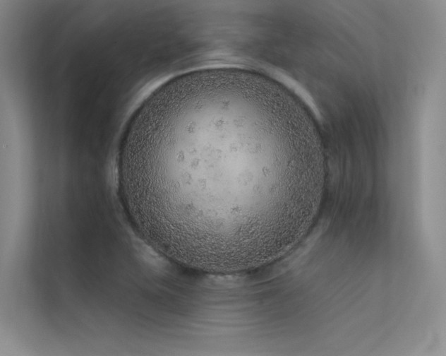 X0000112421415200908141401