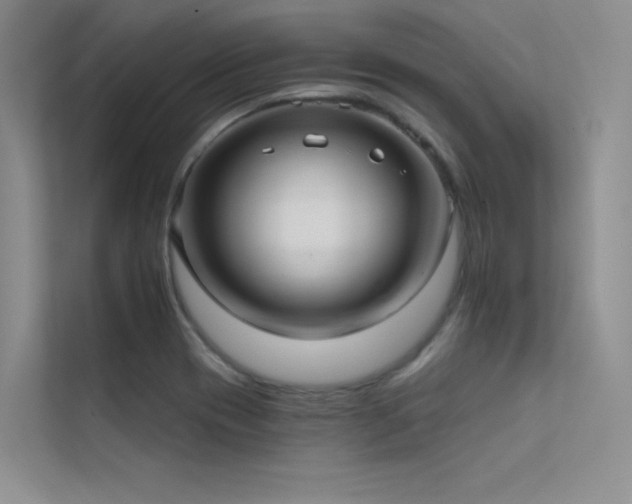 X0000112421417200908141401