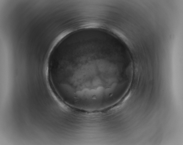 X0000112421418200908141401