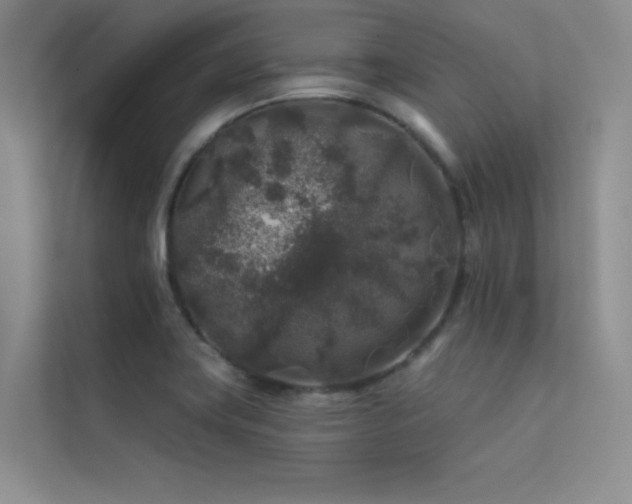 X0000112421419200908141401