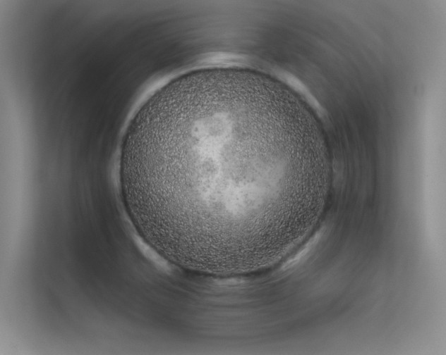 X0000112421421200908141401