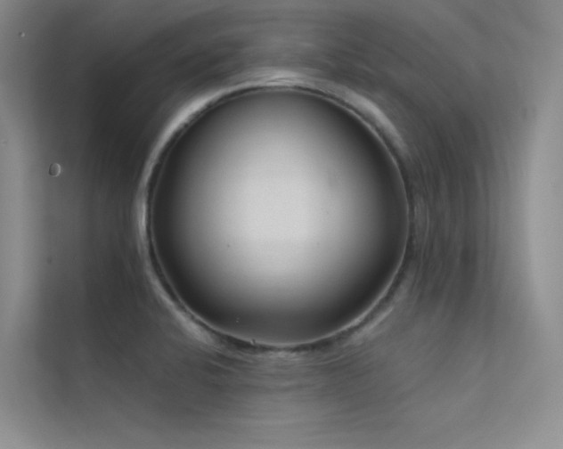 X0000112421424200908141401