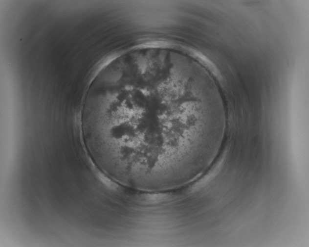 X0000112421425200908141401