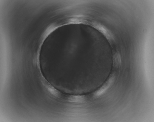 X0000112421427200908141401