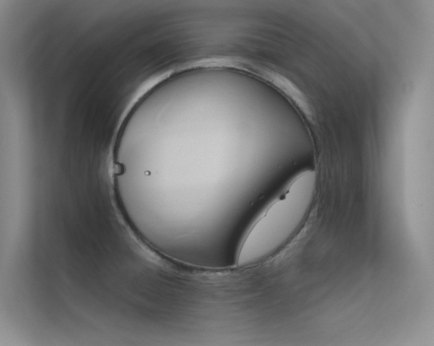 X0000112421428200908141401