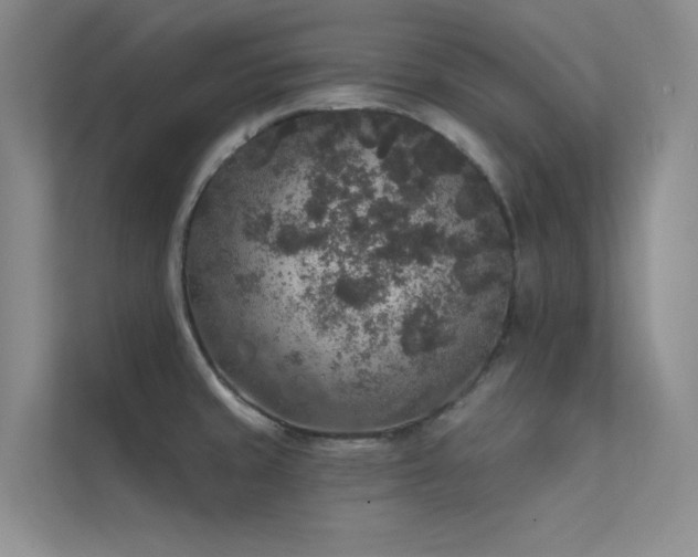 X0000112421429200908141401