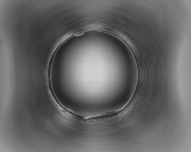 X0000112421434200908141402