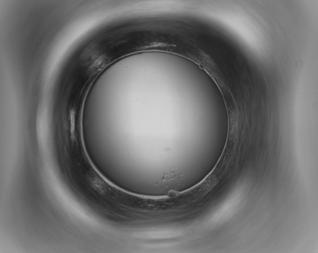 X0000112421439200908141402