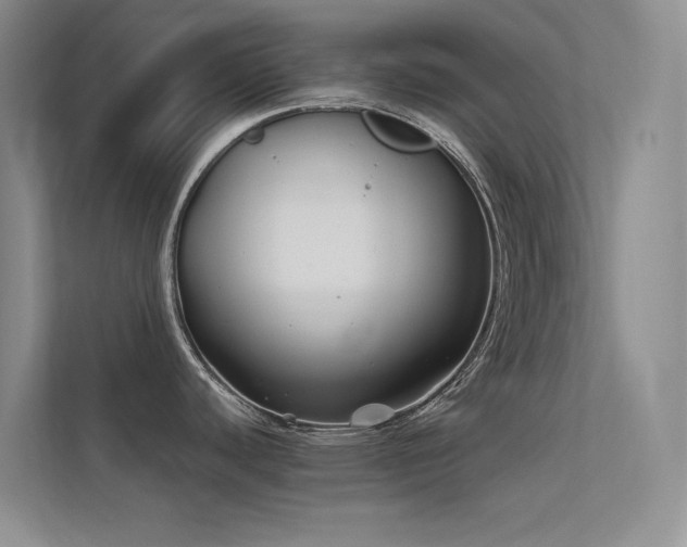X0000112421440200908141402