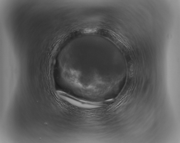 X0000112421441200908141401