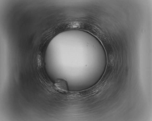 X0000112421442200908141401
