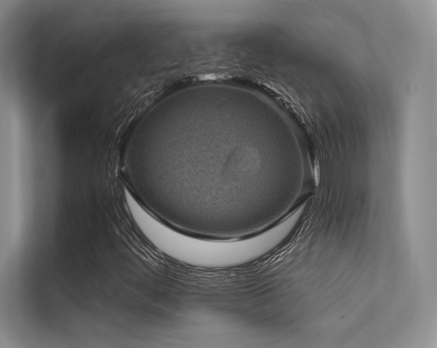 X0000112421444200908141401
