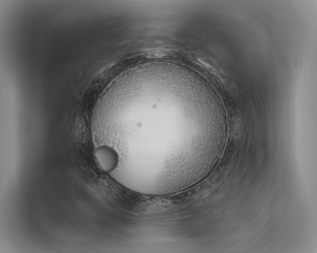 X0000112421446200908141401