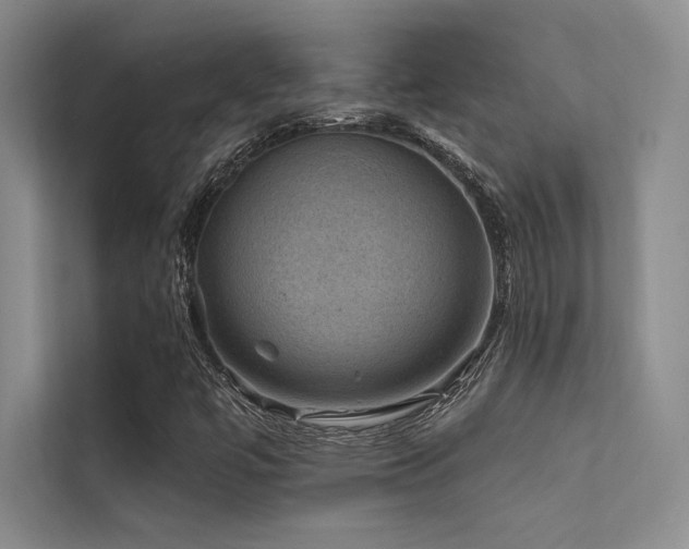 X0000112421447200908141401