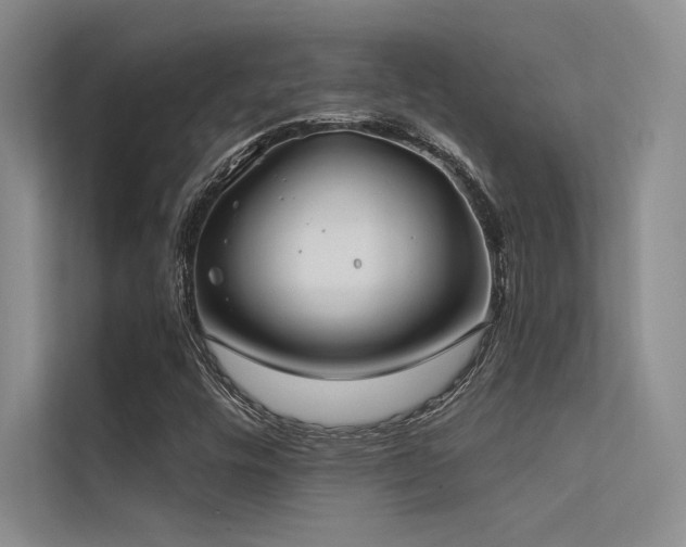 X0000112421448200908141401