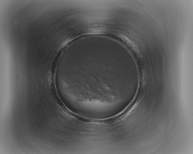 X0000112421449200908141401