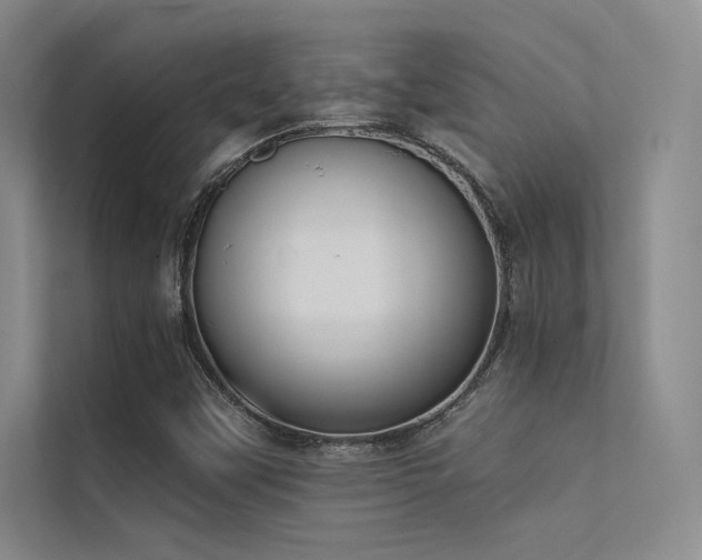 X0000112421451200908141401