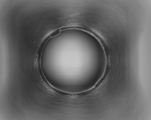 X0000112421452200908141401
