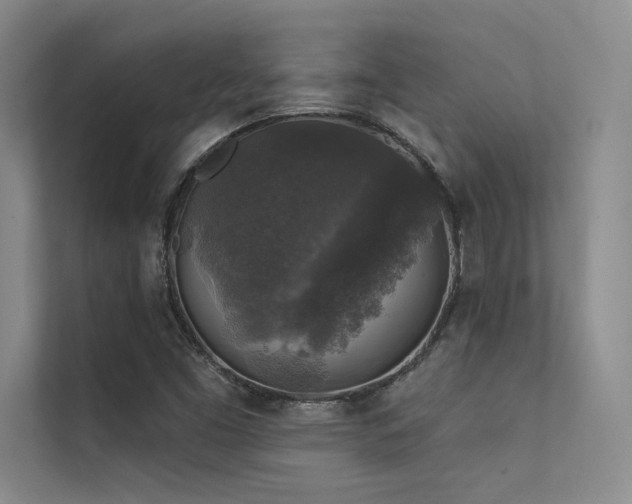 X0000112421453200908141401