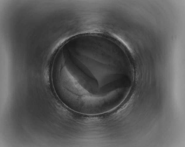 X0000112421455200908141401