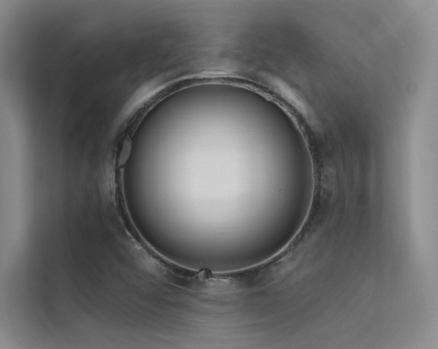 X0000112421456200908141401