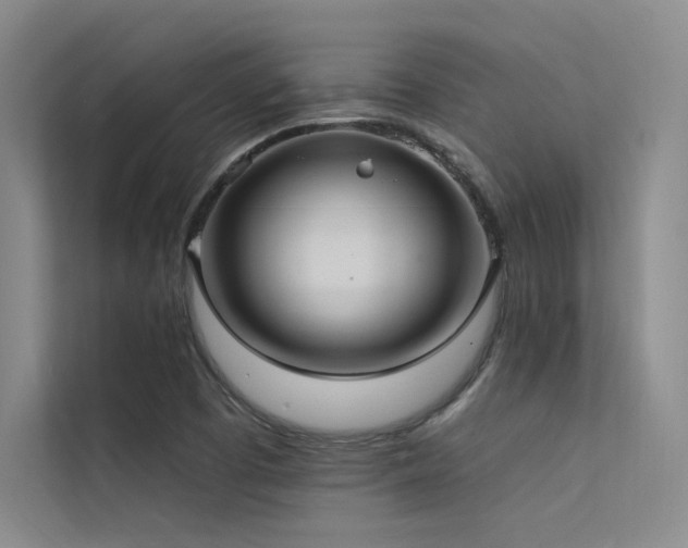 X0000112421457200908141401