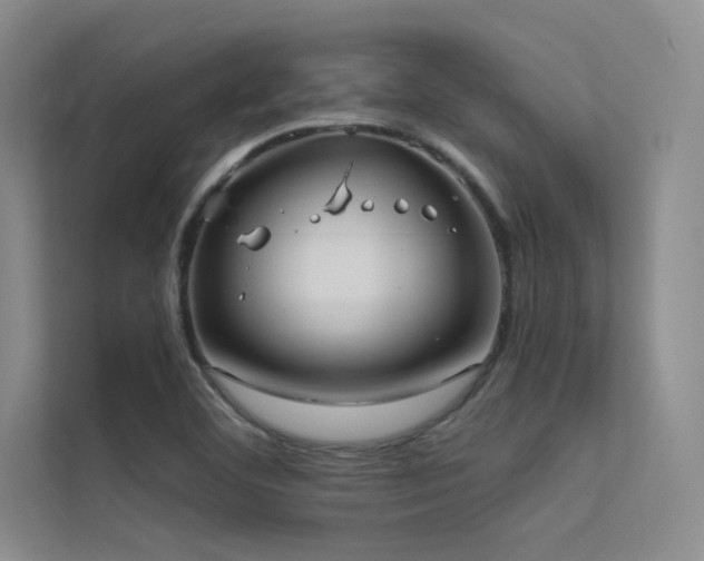 X0000112421460200908141401