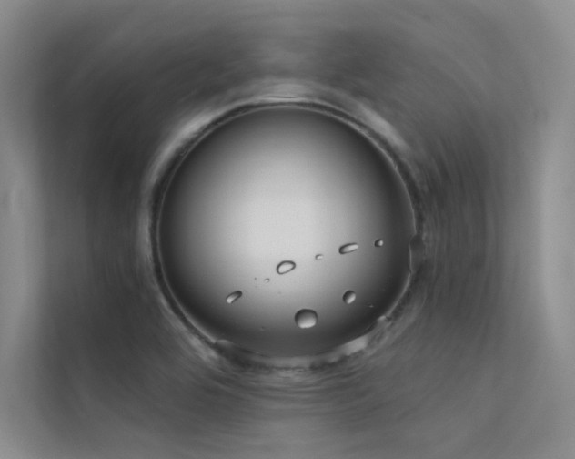 X0000112421464200908141401