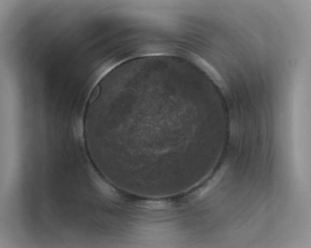 X0000112421465200908141401